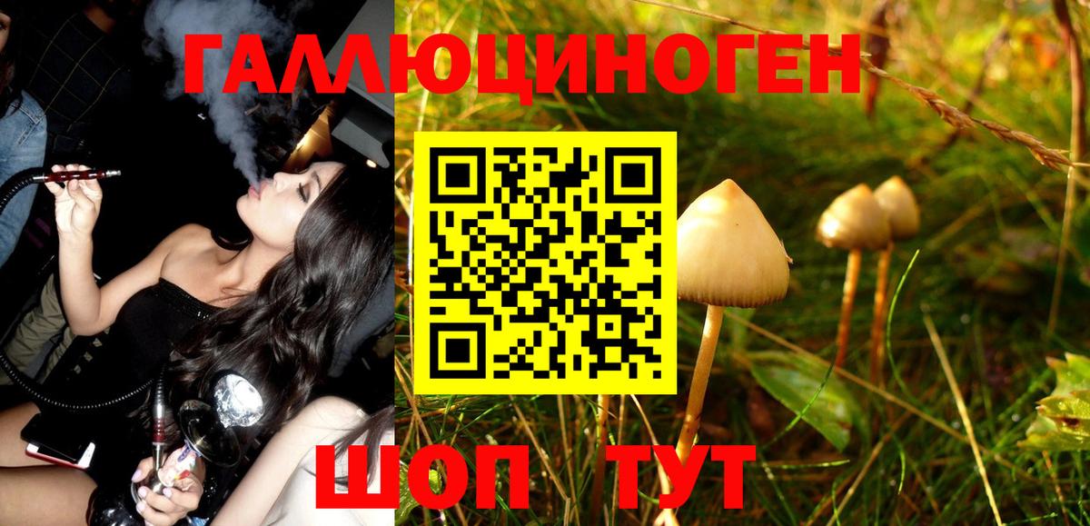 Псилоцибиновые грибы MAGIC MUSHROOMS Владикавказ