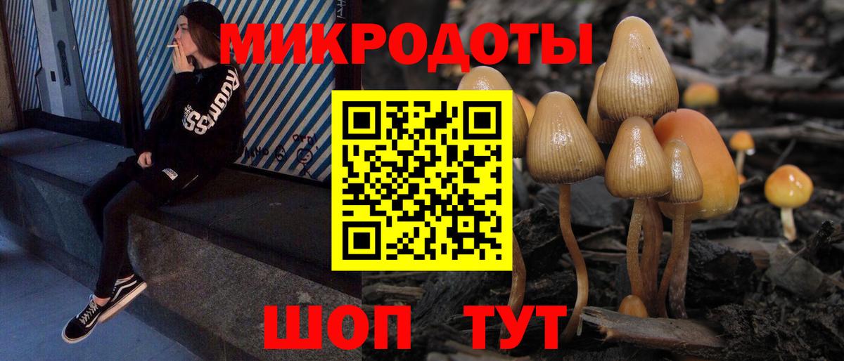 Владикавказ  Псилоцибиновые грибы Psilocybine cubensis  Вход с VPN  Псилоцибиновые грибы прущие грибы 